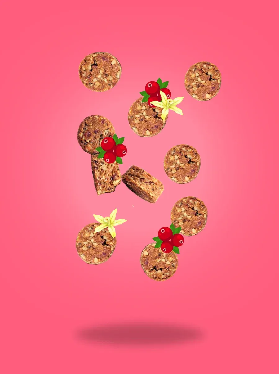 Fodbods Cranberry Vanilla Nibbles 100g